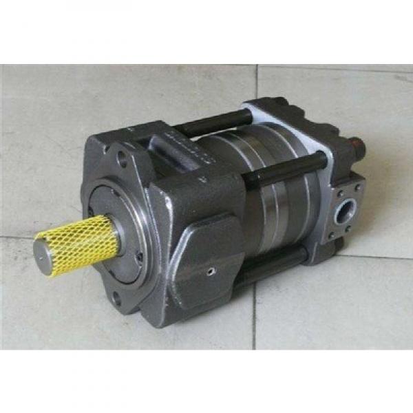 25V14A-1D22R Vickers Gear  pumps Original import #2 image