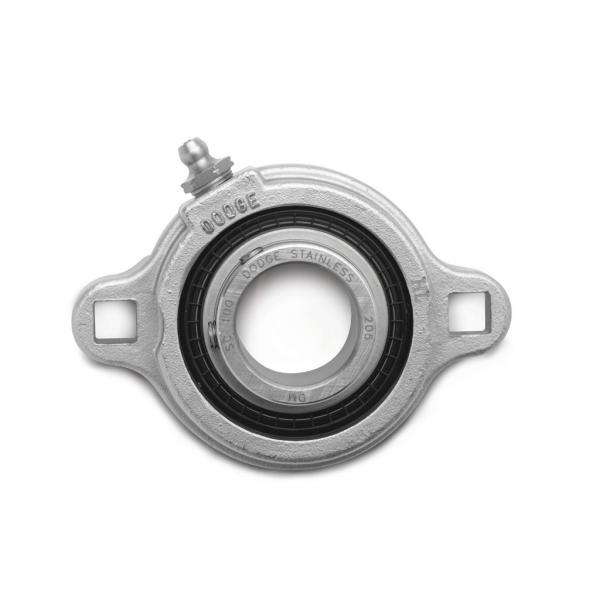 Mounted Ball Bearings LFT-DL-012-NL #1 image